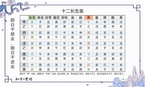 十二長生表運用|【十二長生表運用】掌握12長生秘訣！八字命理的風向標